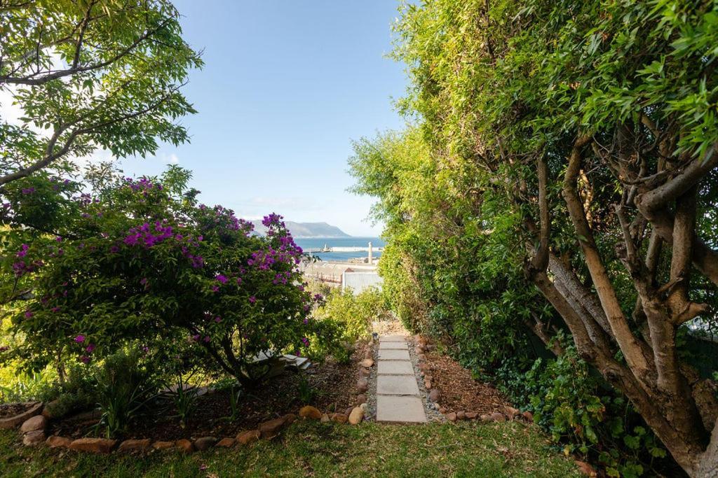 Seia Dream Offers Stunning Ocean Views, Sunny Living Spaces, Plunge Pool And Terraces Perfect For Relaxing, Walk To Simons Town, Seaforth Beach, Boulders Penguins, High Speed Internet, Smart Tv And Back Up Solar, Ideal For Families Or Remote Wo * Cidade Do Cabo